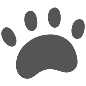 A typical paw print of some sort of animal