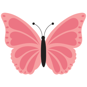 A pink butterfly from a garden or forest