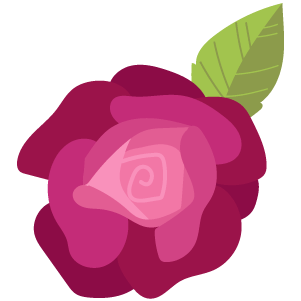 The pink head of a Valentine's Day rose