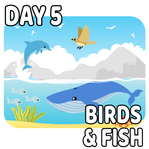 Seven Days of Creation Day 5 - Birds and Fish