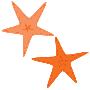 Two orange starfish from the depths of the ocean