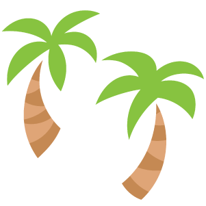 Two tropical palm trees from a hot tropical region