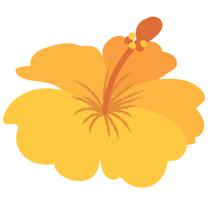 A iconic tropical flower