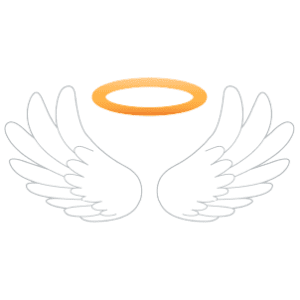 A pair of angel wings with holy halo