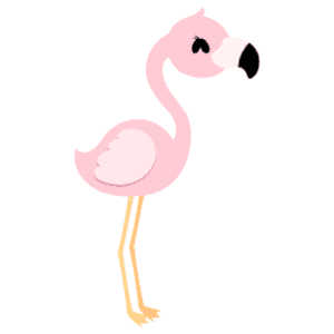 A female flamingo looking cheerful