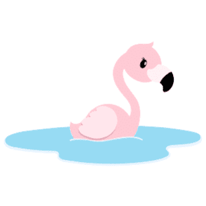 A female flamingo swimming along in a body of water