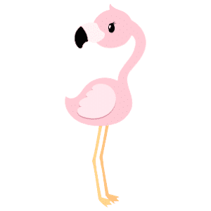 A female flamingo looking to something over behind it