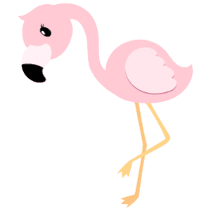 A female flamingo peering down at the ground