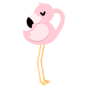 A female flamingo having a nap while still standing up