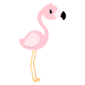 A female flamingo standing tall