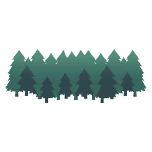 A layered pine tree forest