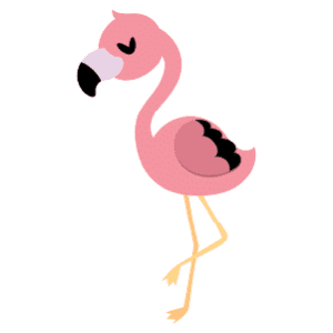 A male flamingo with its leg raised