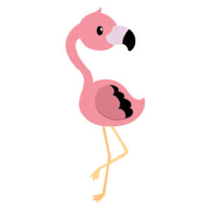 A male flamingo looking behind itself with its leg up