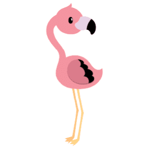 A male flamingo looking behind itself