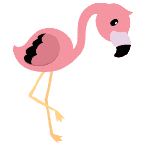 A male flamingo looking down at something on the ground