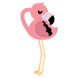 A male flamingo sleeping with its head resting on itself