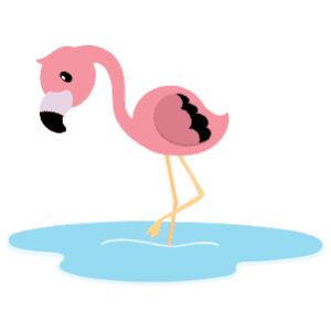 A male flamingo looking down to something in the water