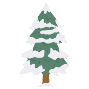 A snowy winter pine tree