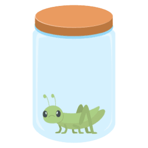 A sad cricket in a jar