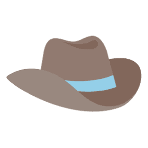 A Grey Western Hat